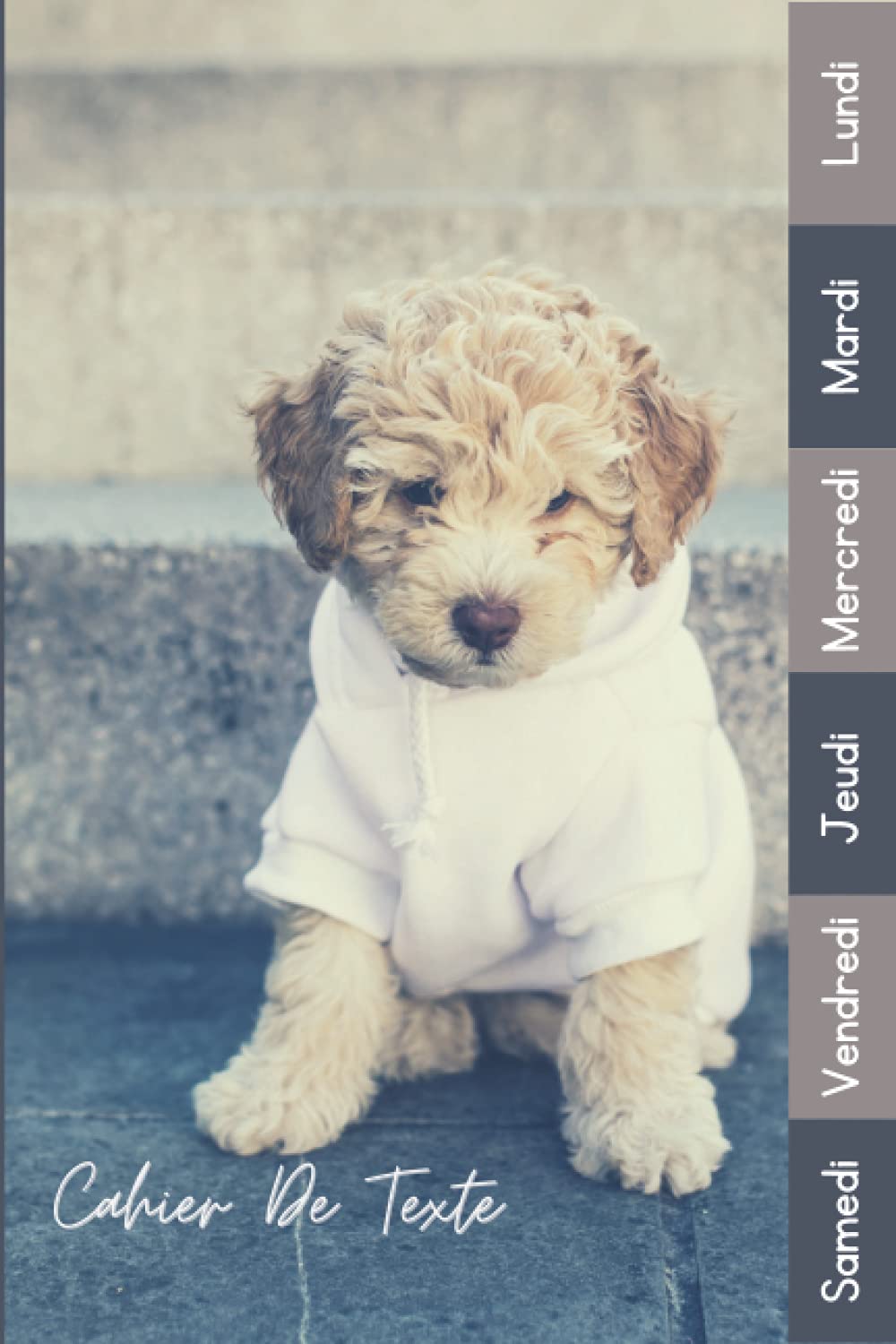 Cahier De Texte: 2021 2022 Chien Pour Filles Et Garçons Avec Un Intérieur Soigné Pratique Pour Toutes Les Matières (French Edition)