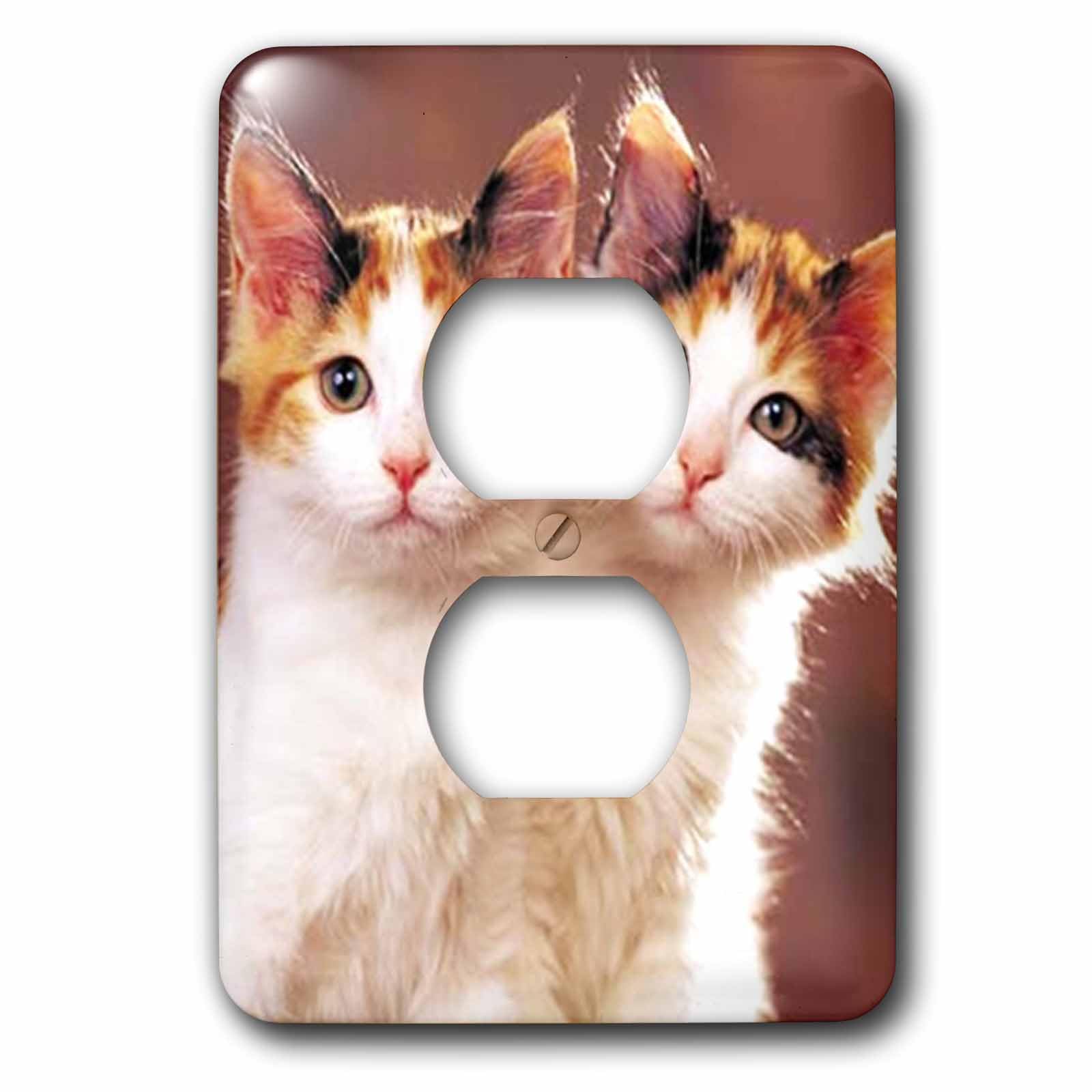 Chaton jumeaux cache prise double pour masquer les imperfections