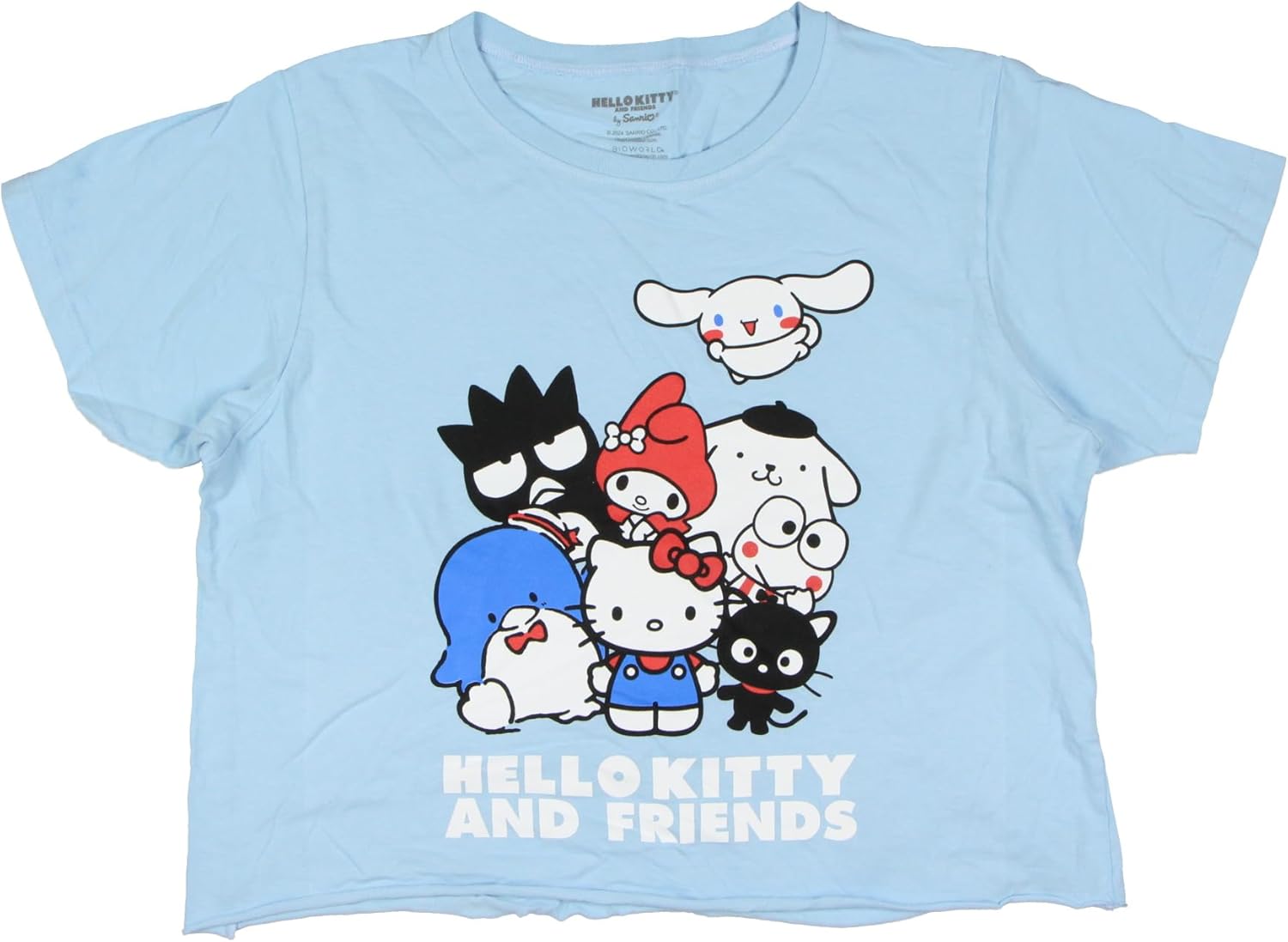 Sanrio Women's Hello Kitty and Friends Group Photo Junior's