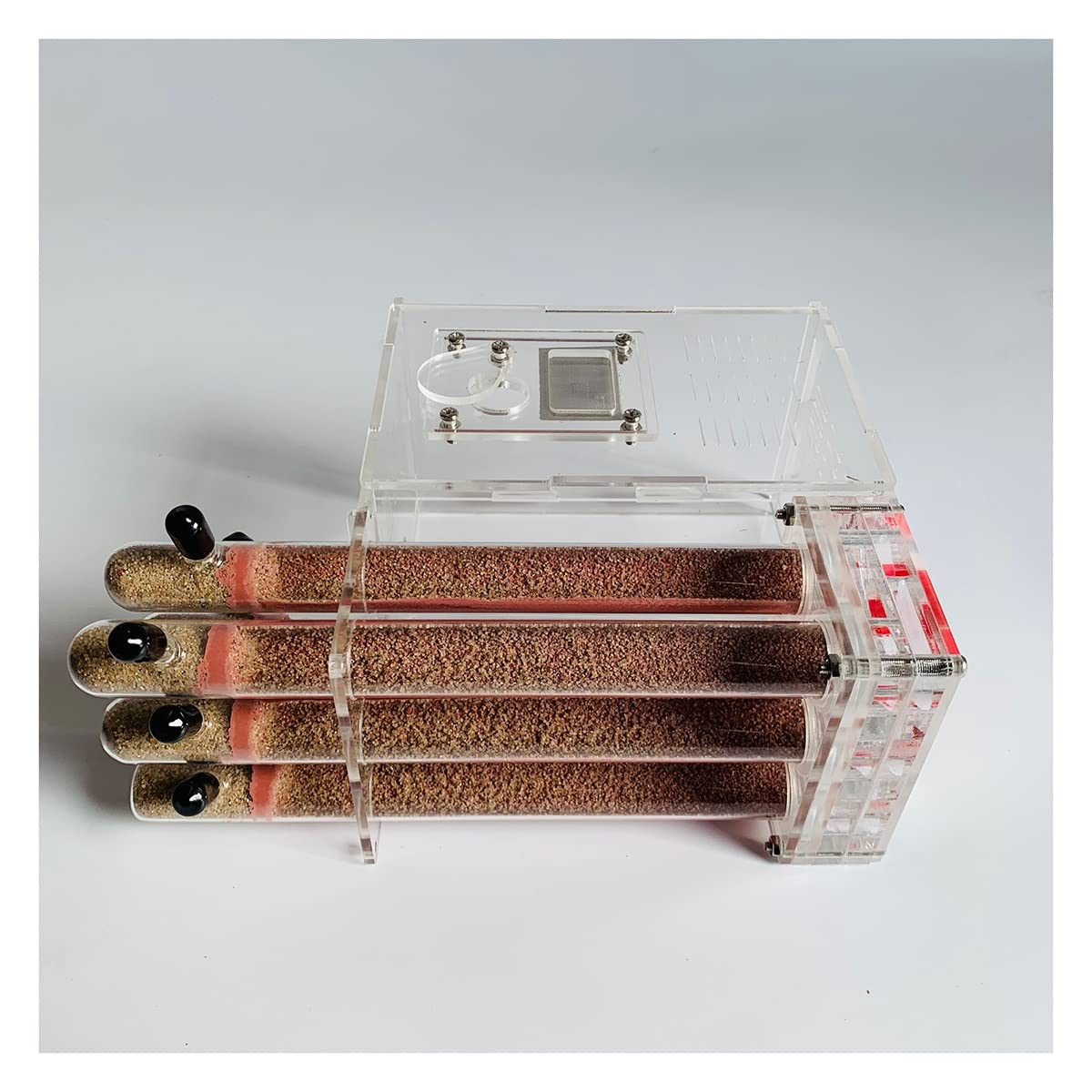 Granja Hormigas Tubo Ensayo Vidrio Nido Hormigas Ant Farm Formicarium Acrílico Ant Nest Hormiguero Ant House Habitat para Niños Y Adultos Kit Ciencia Educativo Y Aprendizaje Juguete (Size : B)