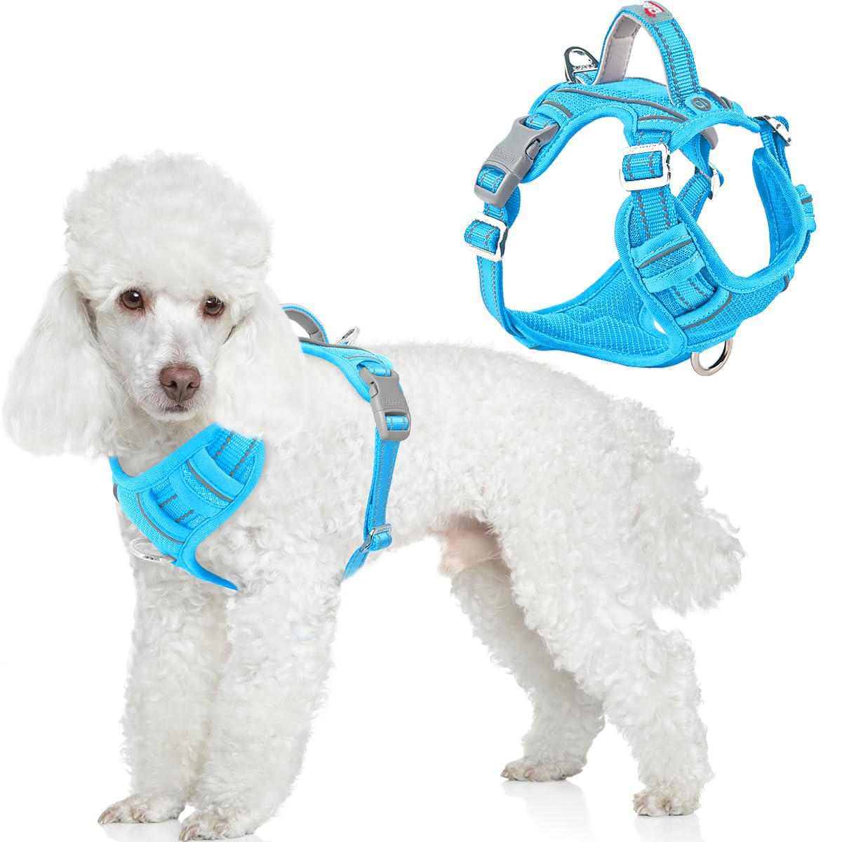 BARKBAY No Pull Dog Harness Front Clip Heavy Duty Reflective Easy Control Handle for Large Dog Walking with ID tag Pocket(Ocean Blue,S)