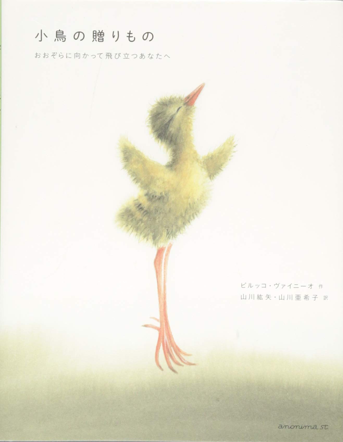 【Iwamoto】ことりのおおきなあそびば Amazon | iimono117 インコ 遊び場 大型 [ 幅47㎝×高さ54㎝ ] 鳥