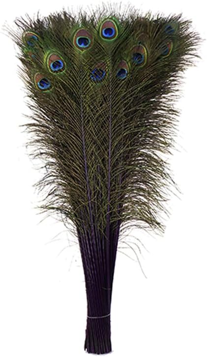 ZUCKER Feathers - Peacock Tail Eyes Stem Dyed - 25-40" - in Your Choice of Colors