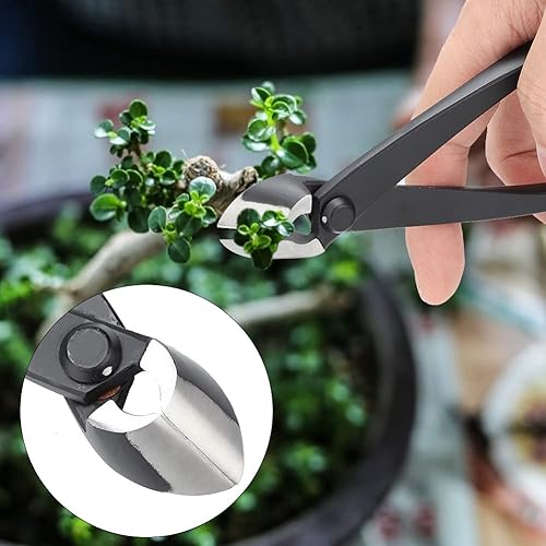 Miniatura 2 de Cortador de ramas, herramientas de bonsái de 6.4 pulgadas, cortador cóncavo y recto con asas ergonómicas para tijeras de jardinería