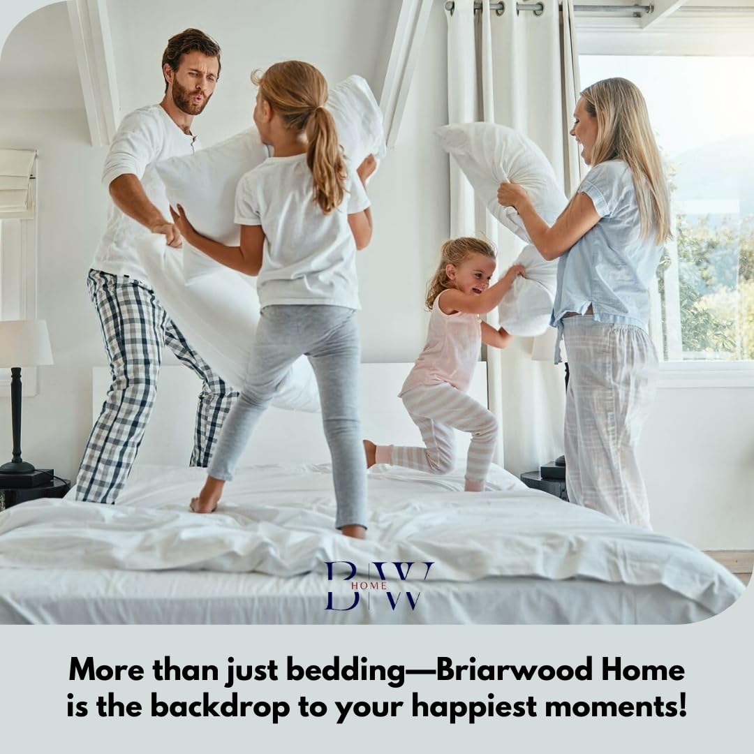 Briarwood Home Set di lenzuola in jersey, 3 pezzi, lenzuola in puro cotone traspirante, con tasca profonda, facili da indossare, comode, morbide, in cotone pregiato (antracite, matrimoniale)
