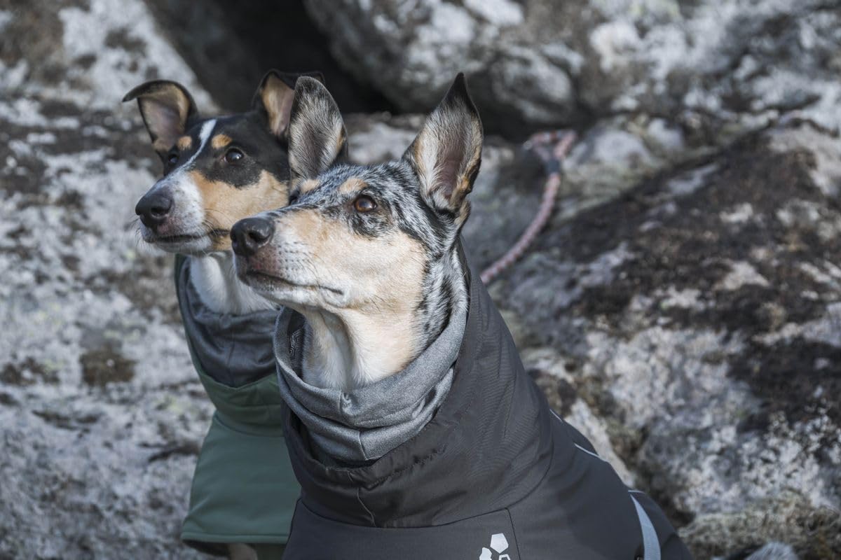 Hurtta Extreme Warmer Hundemantel, Winterjacke für Hunde, Brombeere 60 cm