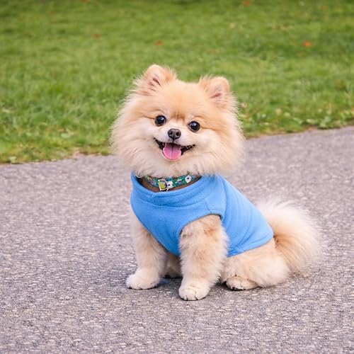 Miniatura 4 de JACKO & CO - Chaleco de forro polar para perro con anillo para correa - Abrigo suave, cálido y ligero para perros, cachorros y gatos pequeños y