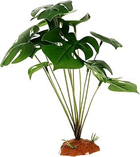 Mipcase Decoração De Répteis Plantas De Répteis Planta De Aranha Decoração De Tanque Plantas De Terrário Planta Falsa Para Répteis Decorar Resina Escalada Caixa De Animal De Estimação