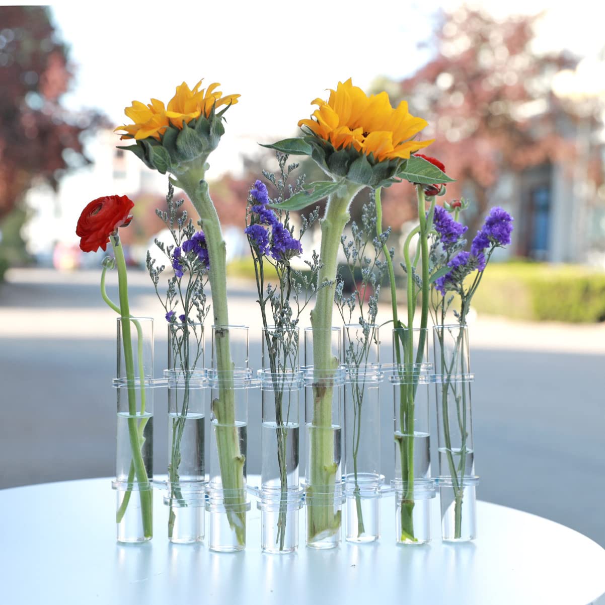 Veemoon Vase Hydroponique Verre Transparent Tubes de Propagation et Jardinière Suspendue pour Petites Plantes Intérieur Terrarium de Bureau