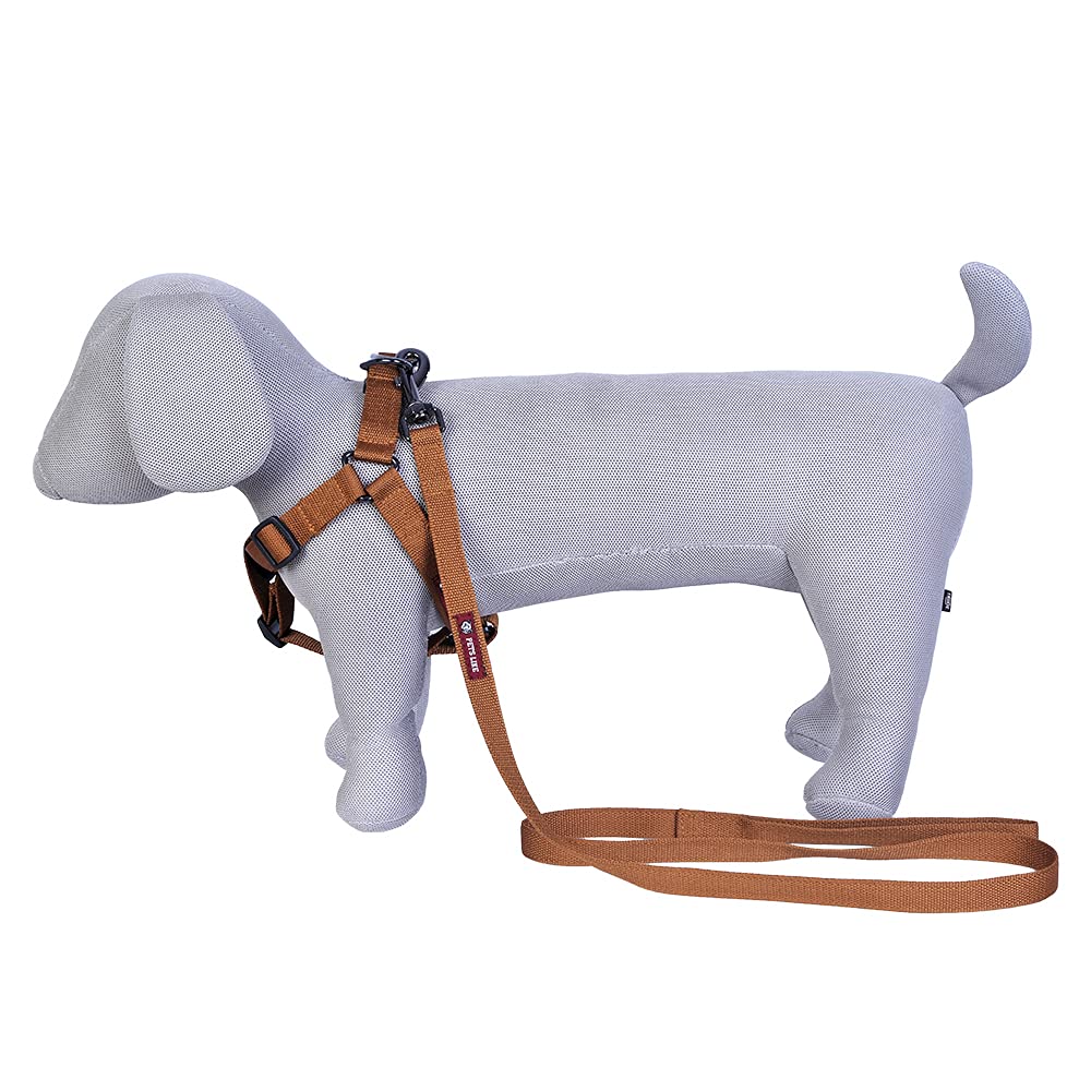 Pets Like Polyester V Harness with Leash Set Gold (Medium), (GE-COPV042) (B09D3BCRDB) Amazon Price History, Amazon Price Tracker