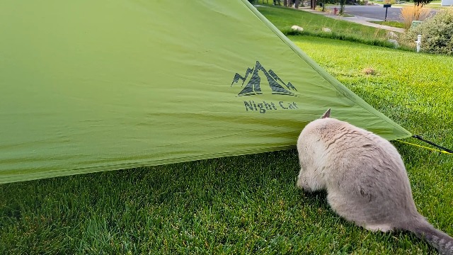 Night Cat 1 Mann Zelt Ultraleicht: Wasserdicht Zelt für Fahrradtour Kleines Packmaß Trekking Camping Sport & Freizeit