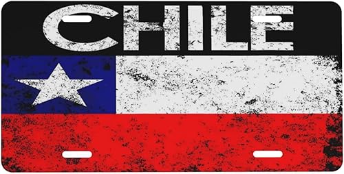 Miniatura 11 de Placa de matrícula de motocicleta oxidada con pintura, bandera americana vintage, placa de aluminio para auto de 6 x 12 pulgadas, cubierta de placa