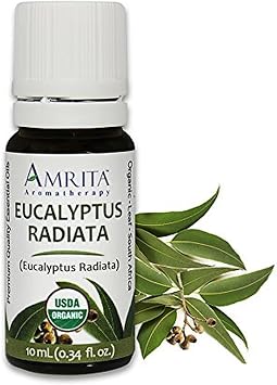 Amrita Aromatherapy Organic Eucalyptus Radiata Essential Oil, 100% Pure Undiluted Eucalyptus Radiata, Therapeutic Grade, Premium Quality Aromatherapy Oil, Tested & Verified, 10ML