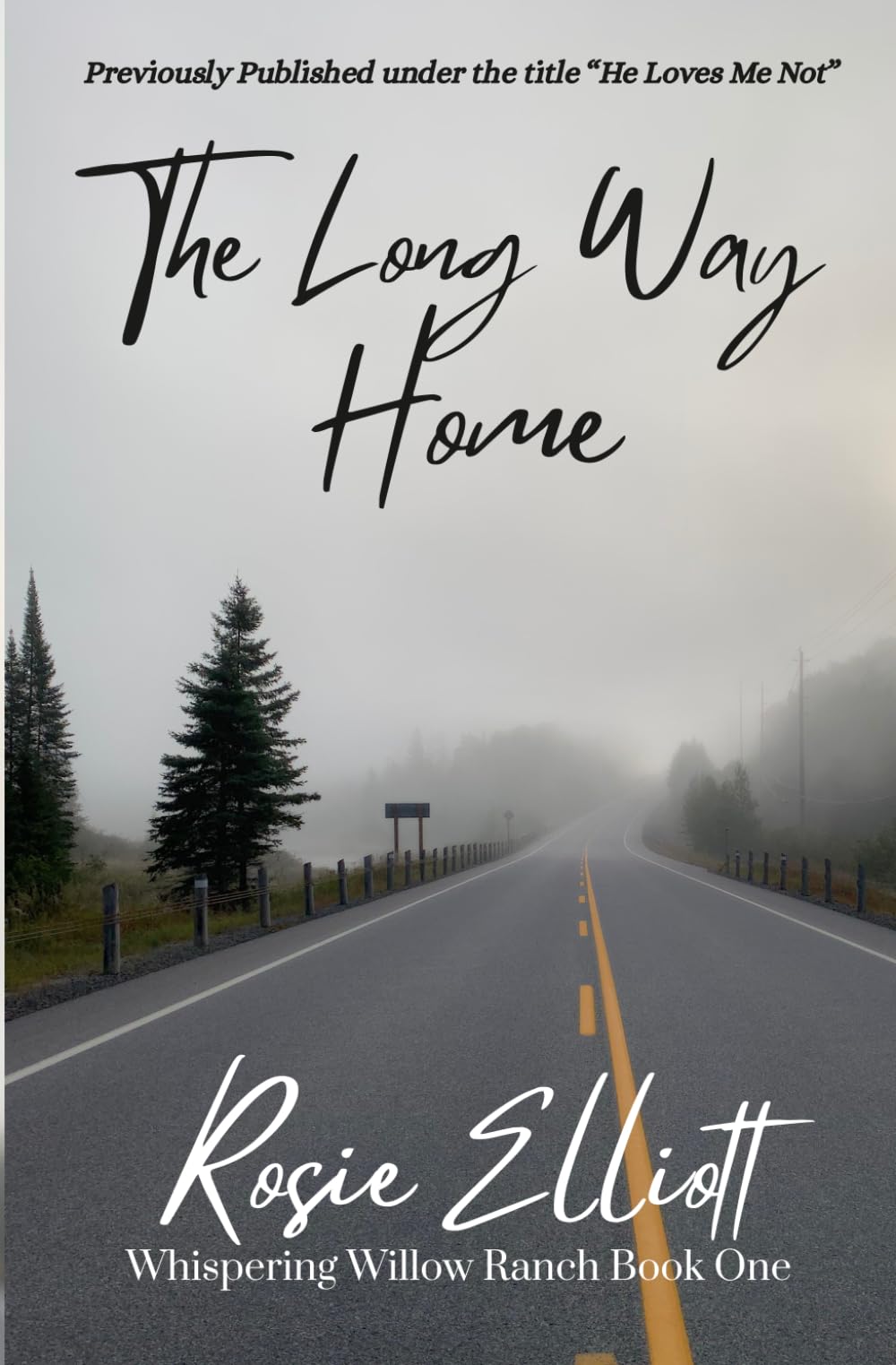 The Long Way Home: 1 (Whispering Willow Ranch)