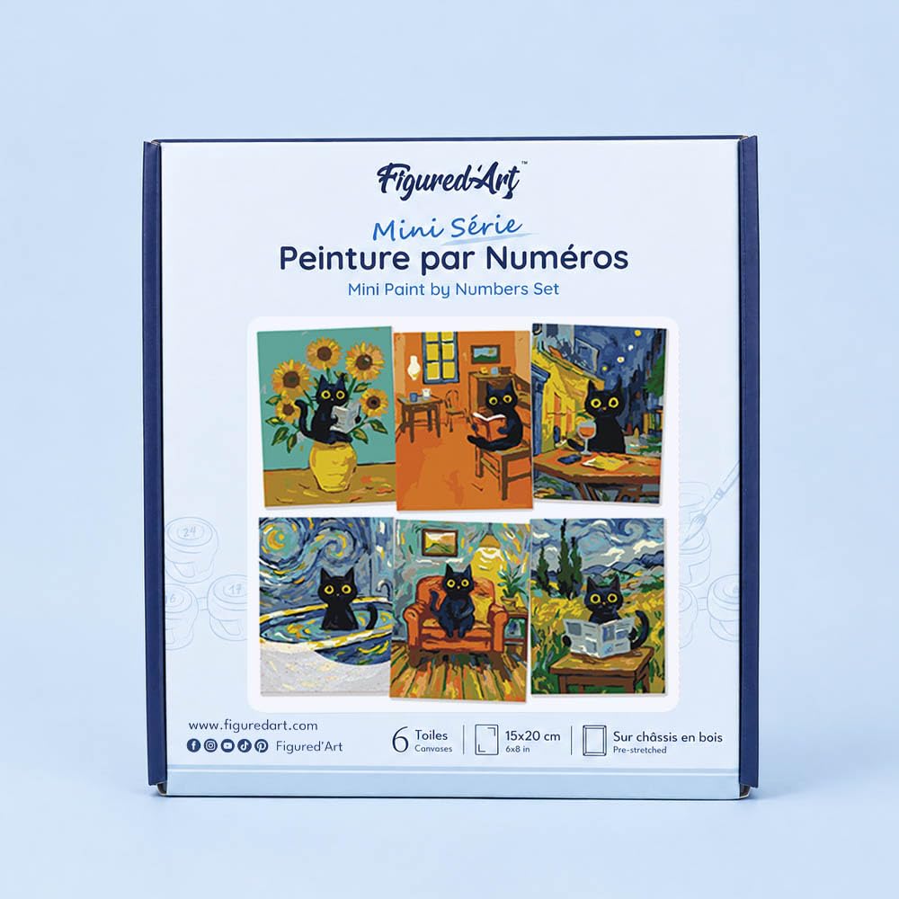 Figured'Art Peinture par Numéros Chat Van Gogh 15x20cm 6 pcs - Avec Cadre