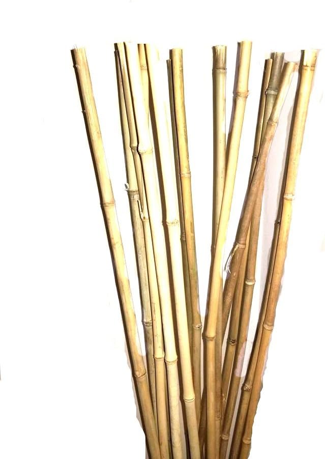 Empire Home Natural Thick Bamboo Stakes 5 Feet Tall About Half Inch Diameter - Pack of 8 (Natural Yellow)