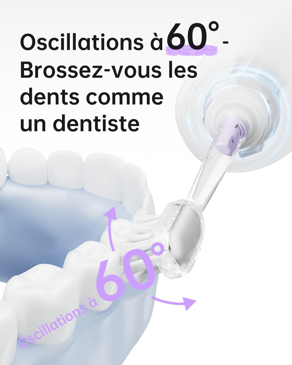 Laifen Wave Special Brosse À Dents Électrique Sonique Pionnière 60° Oscillation Vibration Autonomie 50 Jours 2 Têtes de Brosse Étanchéité IP68 Acceptée par l’ADA pour Voyage (Édition Spéciale Lavande)