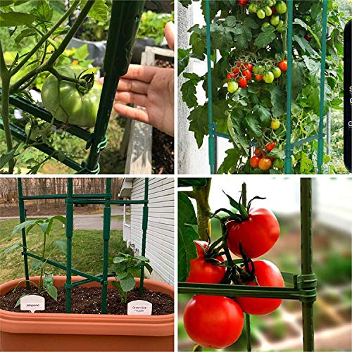 image for Derlights Tomato Cage Assembled Plant Support, 6Pack Tomato Trellis St