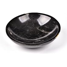 AMOYSTONE Natural Orthoceras Fossil Stone Bowl Round Shaped 4" Rock Bowl
