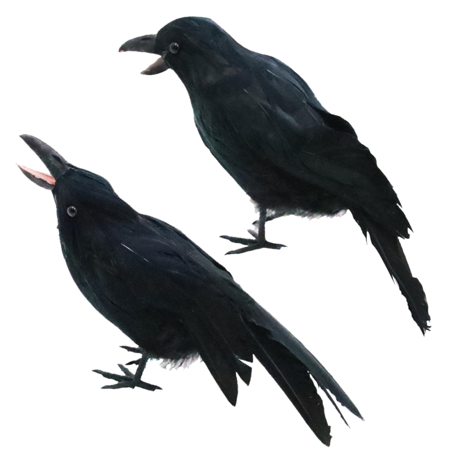 Takingup 2Pcs Crows, Halloween Decor Realistic Crow, 9.5" & 9.8" Large Black Feathered Standing Crows For Halloween Decor Birds, Spooky Lifelike Raven For Yard Tree Garden Patio