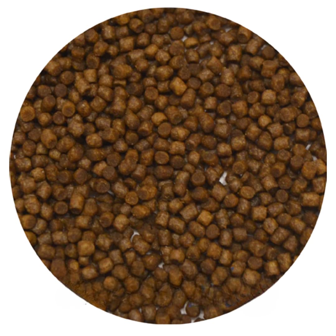 Catfish Pellets - Fish Food Catfish and Tropical Fish Algae Eaters Plecos (200g)