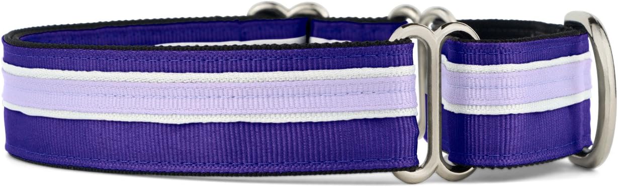 If It Barks 1" Martingale Collar for Dogs, Adjustable Nylon, USA Made, Large, Grape Crush