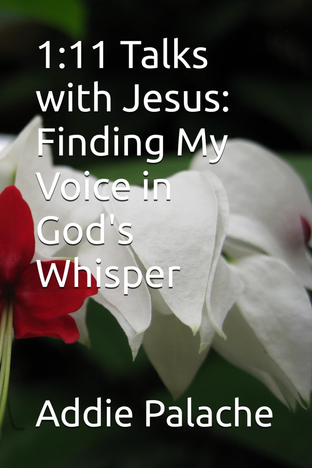 1:11 Talks with Jesus: Finding My Voice in God's Whisper