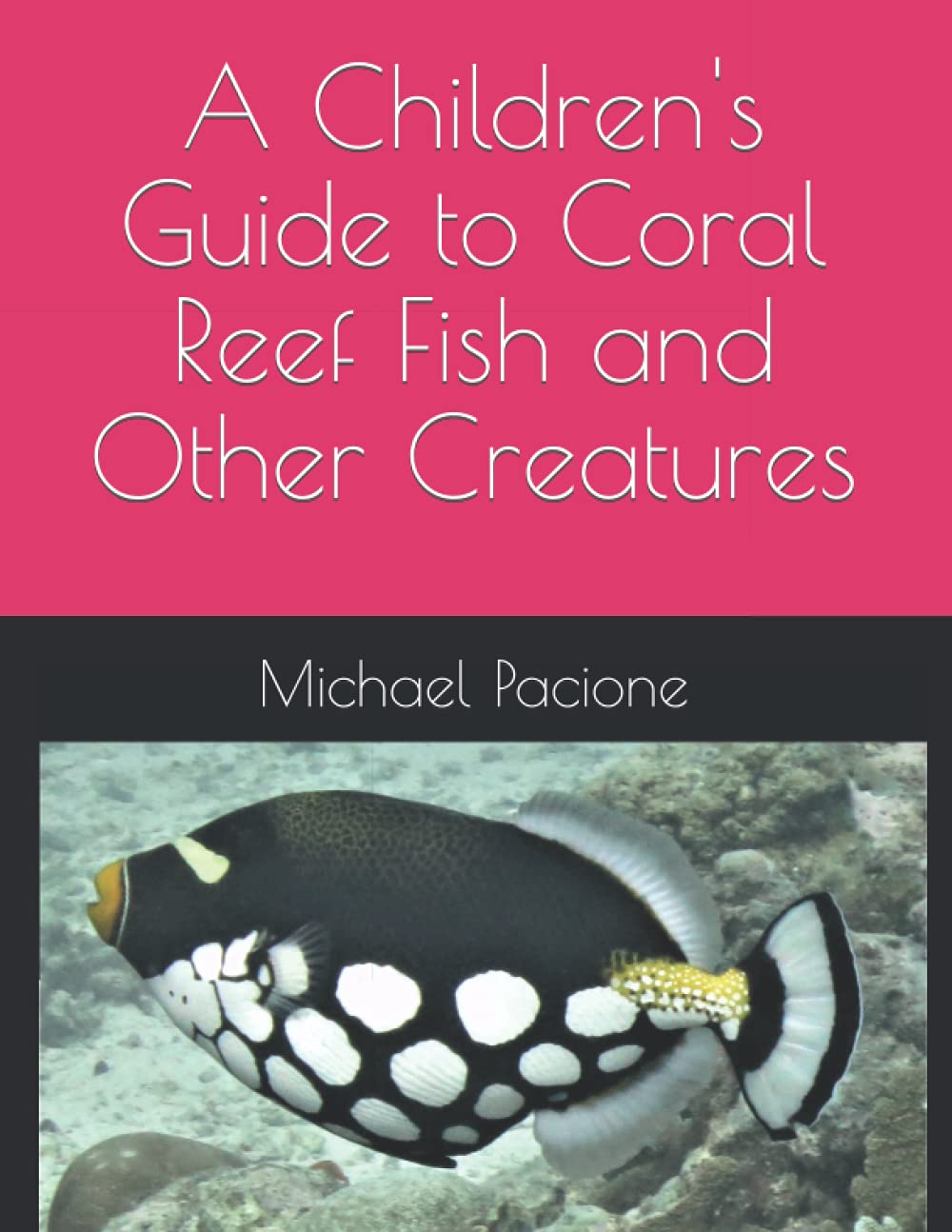A Children's Guide to Coral Reef Fish and Other Creatures