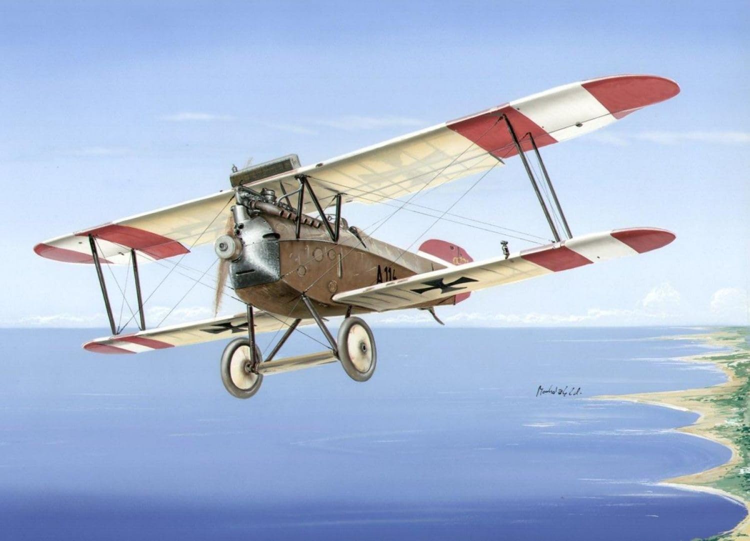 Amazon | スペシャルホビー 1/48 オーストリア フェニックス D.1 複葉