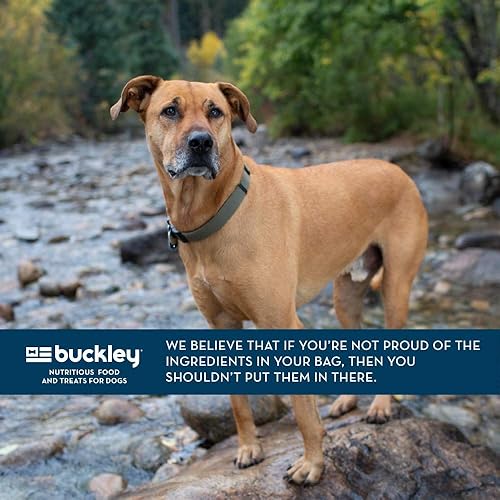 Miniatura 7 de Bixbi Liberty - Alimento seco para perros sin granos, receta de cordero, 11 libras, carne fresca, sin harina de carne, sin rellenos para una fácil