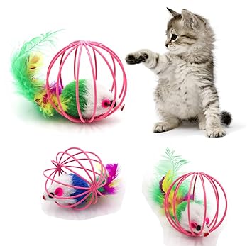 cat toys amazon india