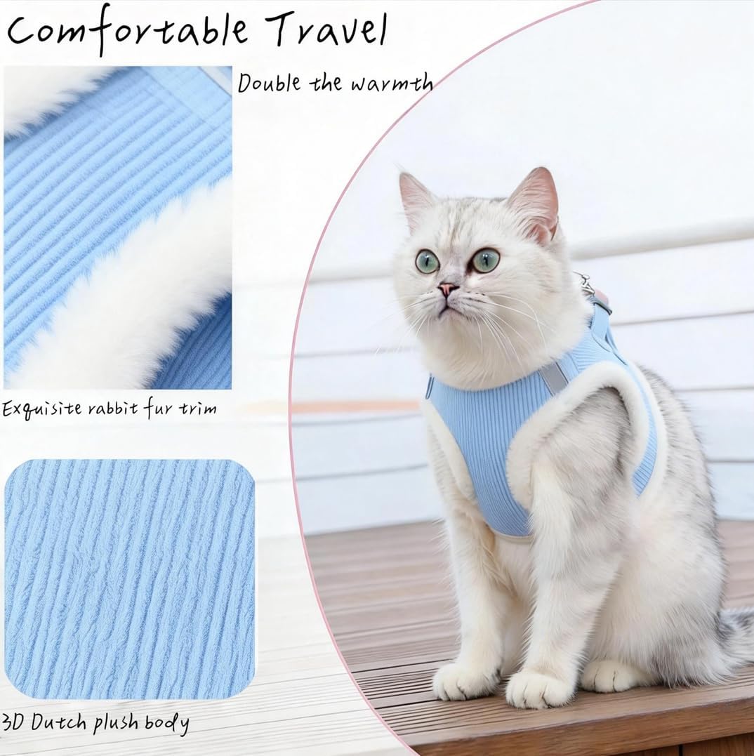 Pet Harness Vest with Leash for Small Medium Dogs Cats-No Pull Step-in Pet Vest Breathable Soft Lightweight Harness and Leash Set for Puppy Kitty Bunny-Sky Blue-M