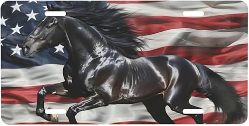 Miniatura 43 de Placa de matrícula retro Daisy, placa de matrícula delantera decorativa para el auto, placas de matrícula novedosas de aluminio, etiqueta de