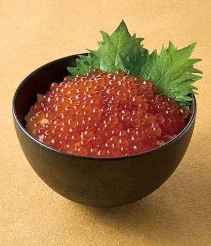 yΕzkCY ݖ 180g HKIK-18 ~Mtg O N Nn  j  j