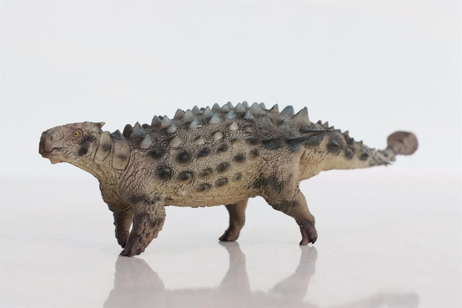1:35 Scale Saichania Model Dinosaur Collection Home Decor Gift (Green with Box)