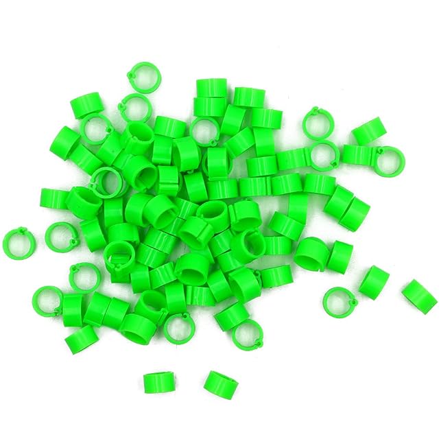 Foto 7 de 7 de Paquete de 100 Anillas para Patas de Paloma de 8 Mm en Blanco Clips para Codorniz (Verde)