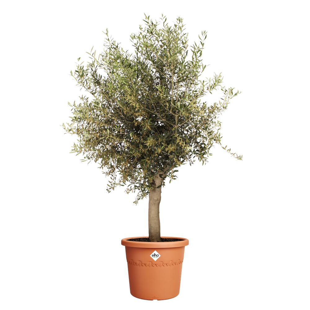 elho Algarve Cilindro 58cm Blumentopf - Terra | ∅ 58 x H 48 cm | für den Außenbereich