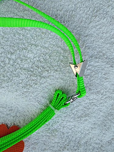 Beauty Parrot Adjustable Bird Harness And Leash Anti-Bite For Bird Parrot African Grey Cockatoo Macaw Ringneck For Medium Size Bird (1Pcs Random Color) #TOP5