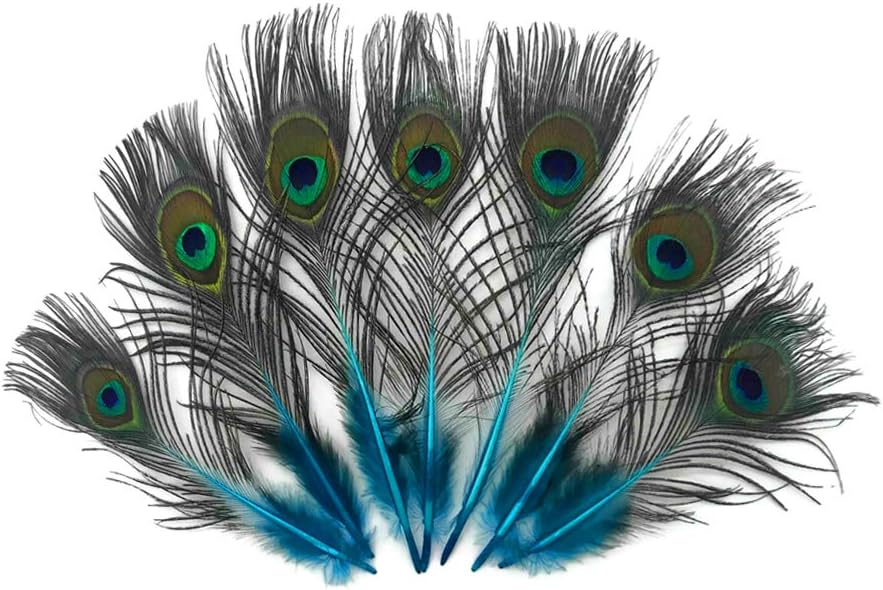 50 Pieces - Turquoise Blue Mini Natural Peacock Tail Body with Eyes Wholesale Feathers (Bulk) Halloween Costume Craft Supplier | Moonlight Feather