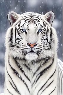 RMSGOZO Snow White Tiger, 5d Diamond Painting Kits - Exquisite Full Circle Gemstone Fine Rhinestone Art Kit for Beginners and Kids, for Room Decor & Wall Decor (12 X 16 Inch)