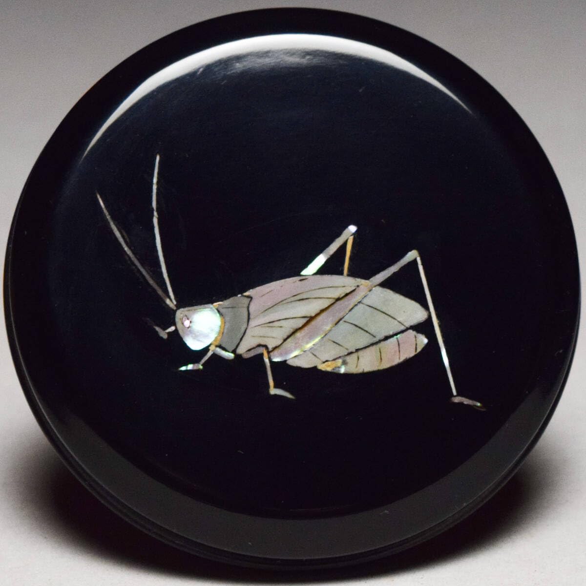 Amazon.co.jp: 漆匠二代佐野長寛造螺鈿鈴虫香合共箱茶道具漆器漆芸丸