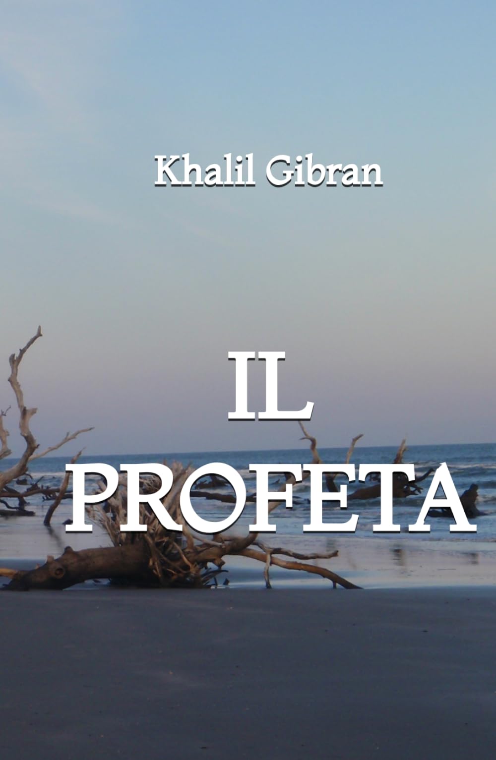 Il Profeta