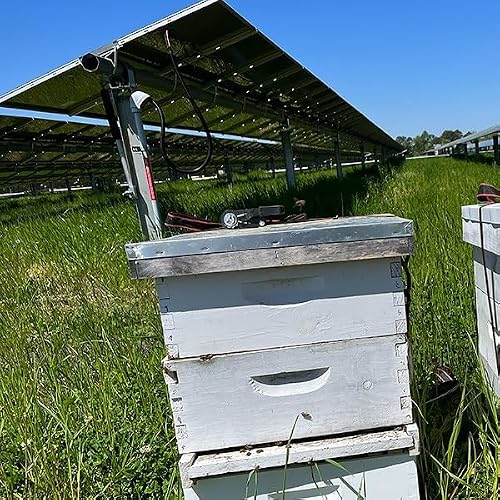 Solar Beekeeping Expands Regionally