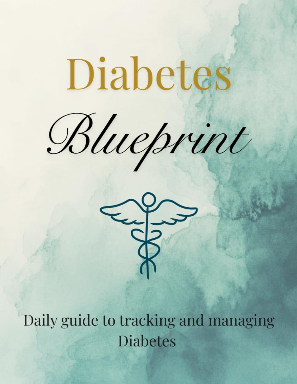 Diabetes Blueprint: Daily guide to tracking and managing diabetes