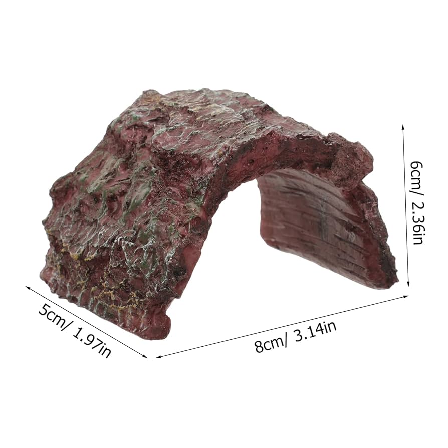 Amazon | GRIRIW シミュレーション爬虫類洞 製タートルハイド