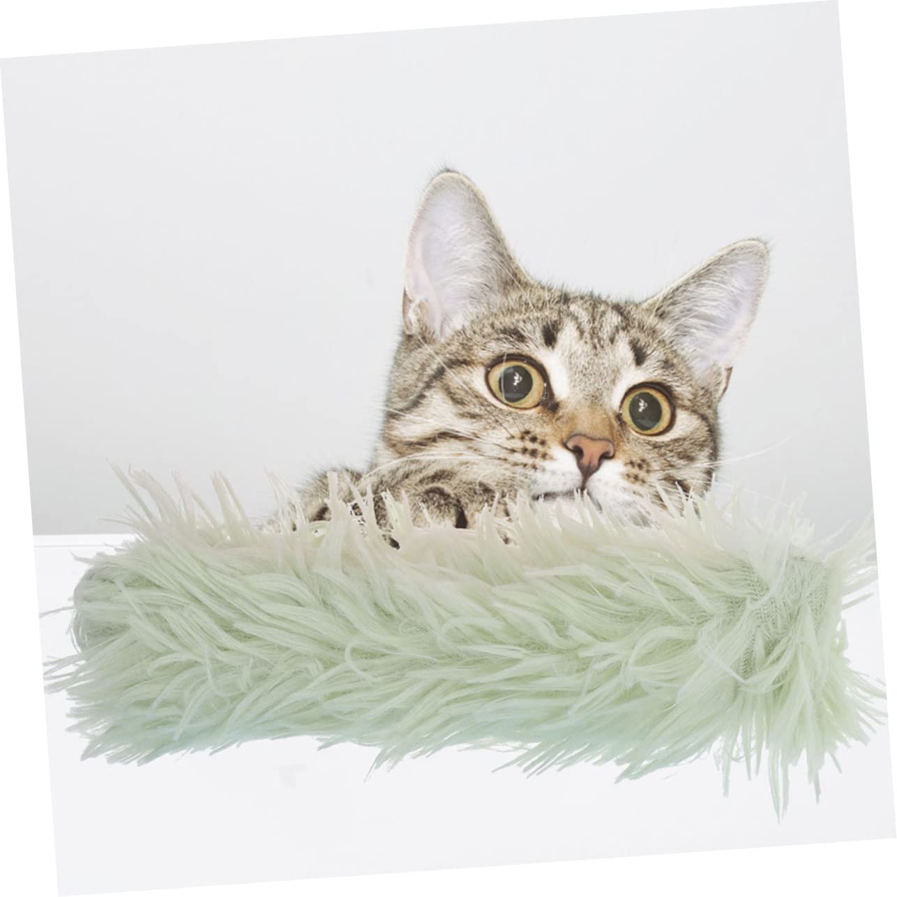 SUPVOX 18pièces Jouets Catnip pour Chats Oreiller Interactif Jouets Amusants pour Chats Intérieur