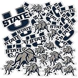 Desert Cactus Utah State University Sticker USU Aggies Sticker Vinyl Decals Laptop Water Bottle Car Scrapbook Sheet T1 (Type 1-1)