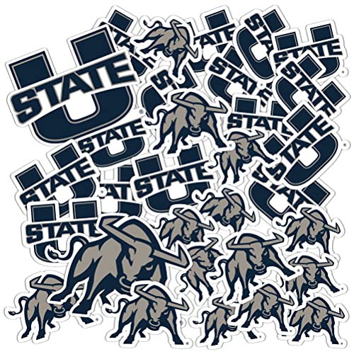 Desert Cactus Utah State University Sticker USU Aggies Sticker Vinyl Decals Laptop Water Bottle Car Scrapbook Sheet T1 (Type 1-1)