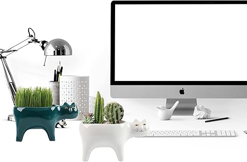 Miniatura 2 de DIYOMR Macetas para gatos suculentas mini macetas de cerámica para gatos contenedores para cactusplantas para decoración del hogar oficina
