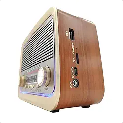 Rádio AM FM Retrô Vintage Portátil Bluetooth Bateria Recarregável Bivolt 110v 220v AD-3199 Antigo a Tomada e Pilha com Lanterna Univerza (Marrom)
